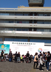 相模原市民桜まつり 相模原市民桜まつり